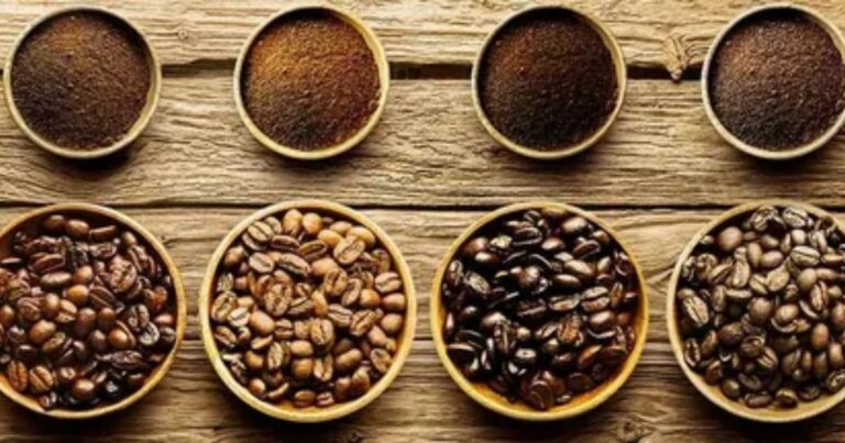 Best Coffee Beans