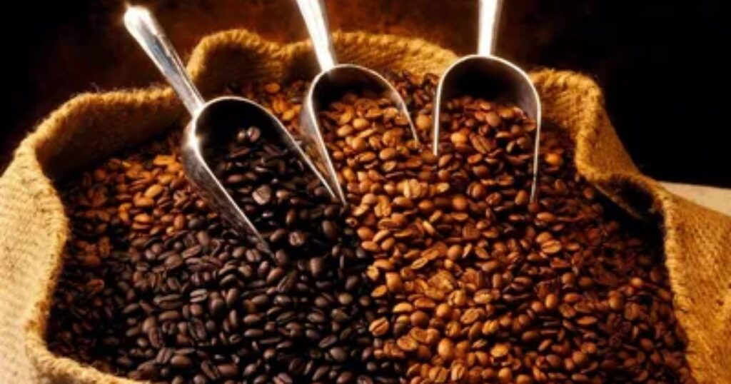 Best Whole Bean Coffee: Freshness at Its Finest