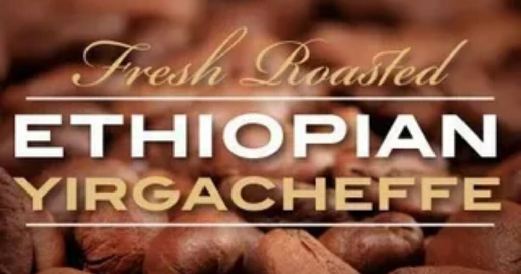 Volcanica Coffee Ethiopian Yirgacheffe