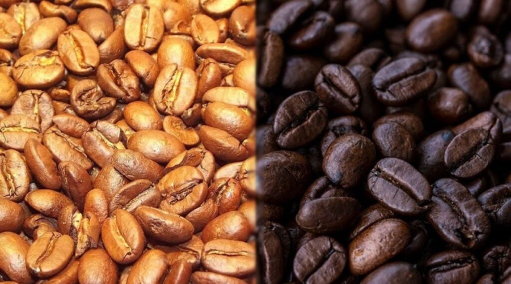 Blonde vs Dark Roast