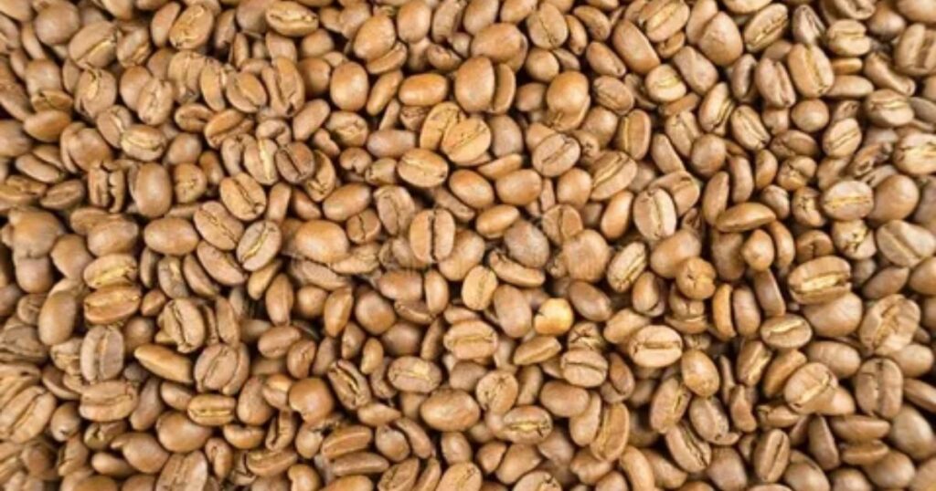 Medium-Dark Roast