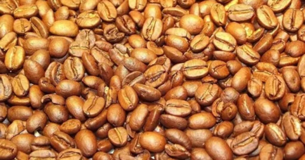 Medium Roast: A Balanced Delight
