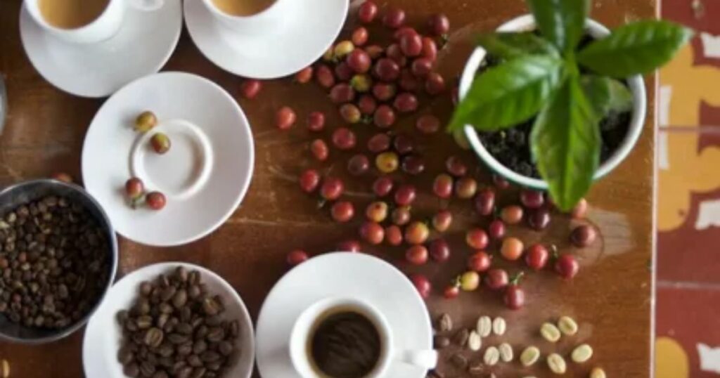 What Makes French Roast Coffee So Bold?