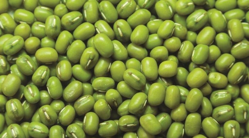 Green coffee beans